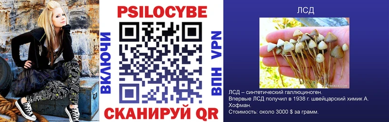 Галлюциногенные грибы прущие грибы  Купить где  Ильский 